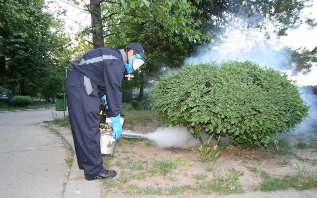 Stropiri împotriva dăunătorilor, în Piteşti, în perioada următoare
