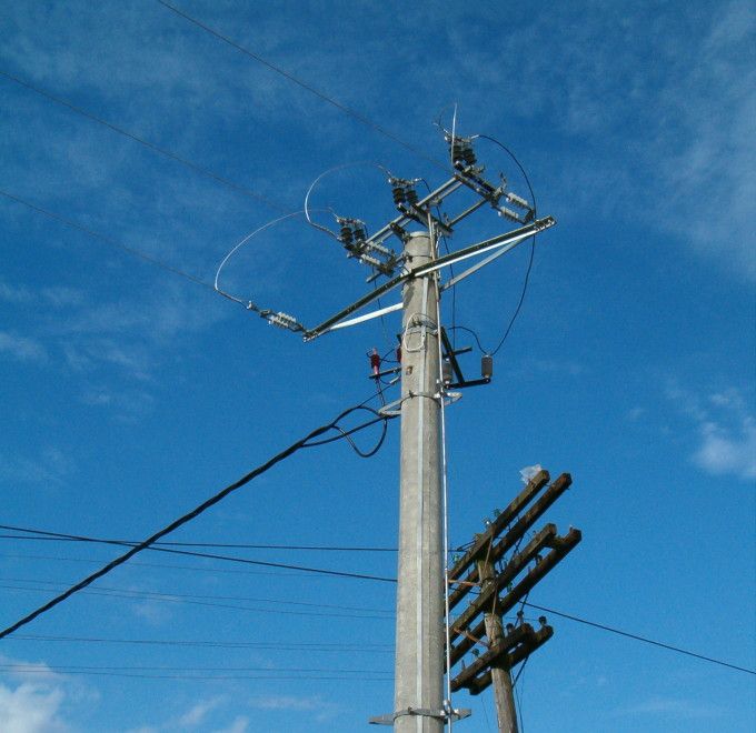 A căzut de pe stâlp! Oamenii l-au crezut electrocutat