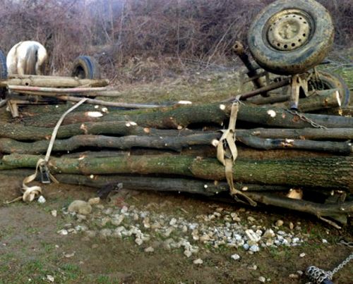 Tragedie la Mihăești. A murit după ce au căzut lemnele dintr-o căruță peste el