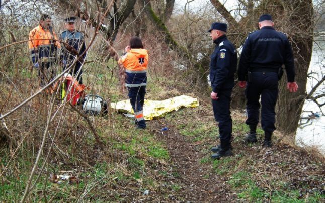 În timp ce era strivit de copac, a sunat la 112! Doar câinele era cu el!