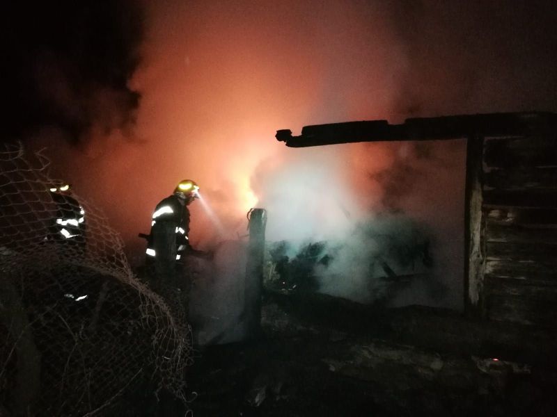 O bovină și mai multe tone de furaje au ars în urma unui incendiu izbucnit la un adăpost de animale