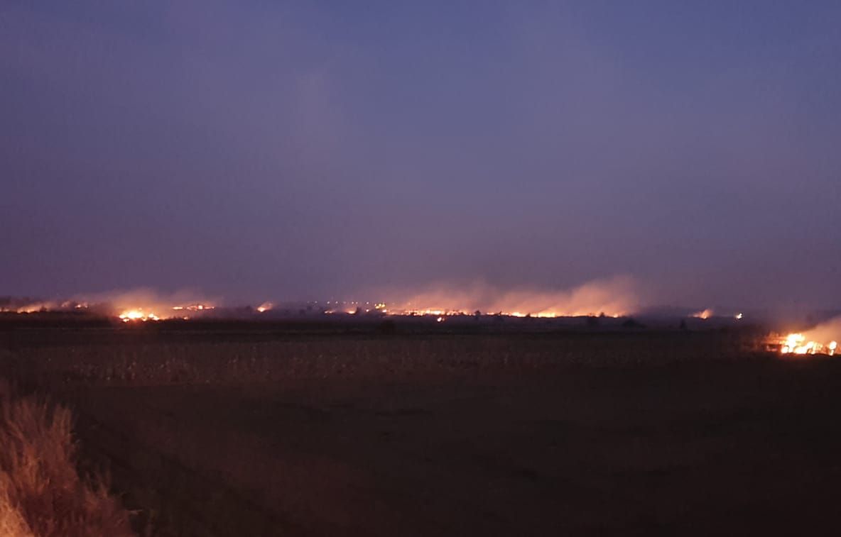 Incendiu de vegetație uscată la Leordeni. Ard peste 70 de hectare