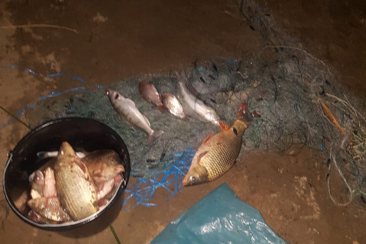 Video - Pescari din Teleorman prinși la braconat în Argeș