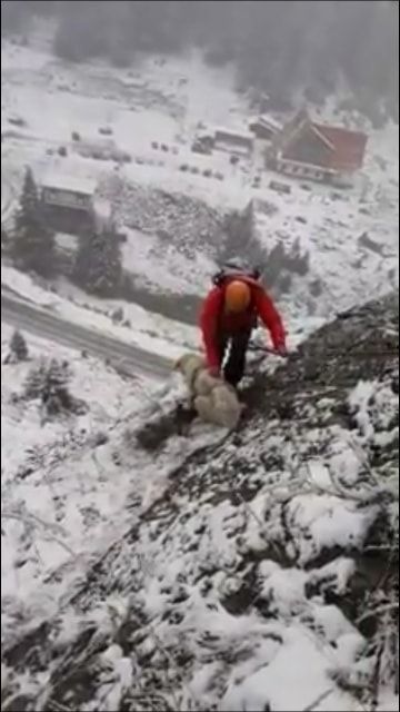 Video-Operațiune spectaculoasă de salvare a unui câine blocat pe o stâncă