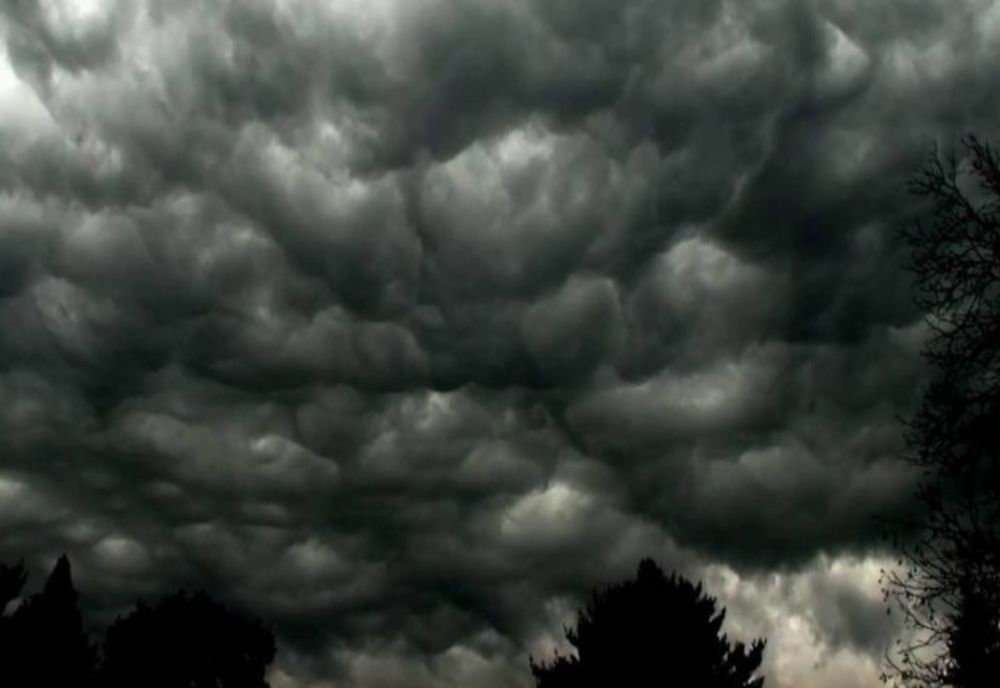 COD ROȘU în județul Argeș