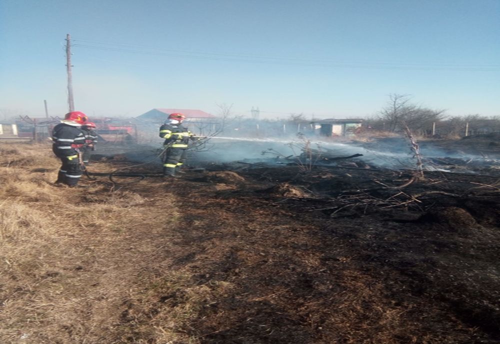Video-Zeci de pompieri s-au luptat cu un incendiu de vegetație