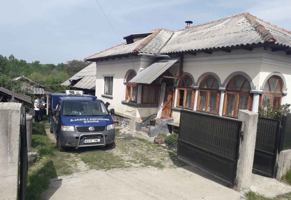 A ucis-o cu lopata, apoi s-a sinucis! Cadavrele descoperite de un copil