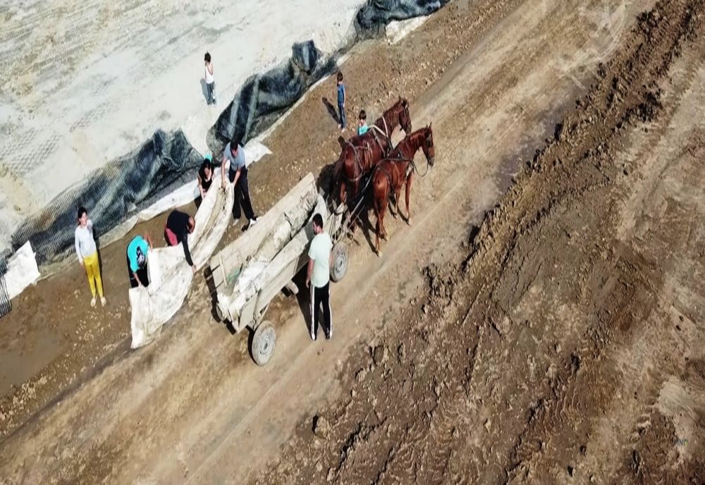 VIDEO. Romi filmaţi cu drona, la furat pe Drumul Expres Craiova-Piteşti