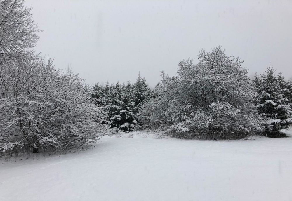 Trasee montane închise în Argeș