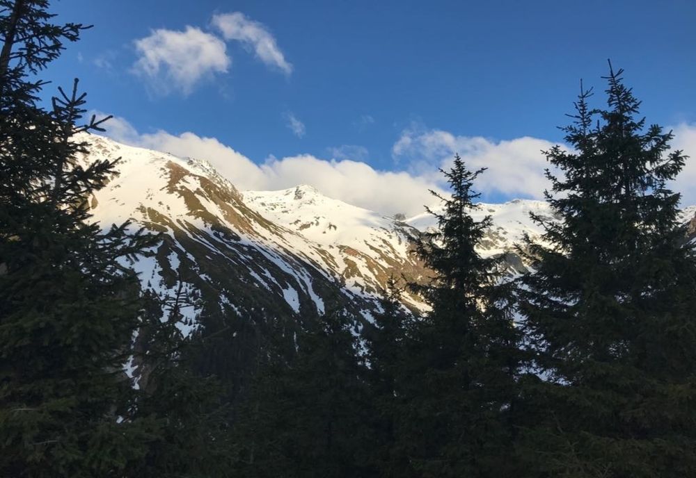 Vreme închisă în prima parte a lunii februarie