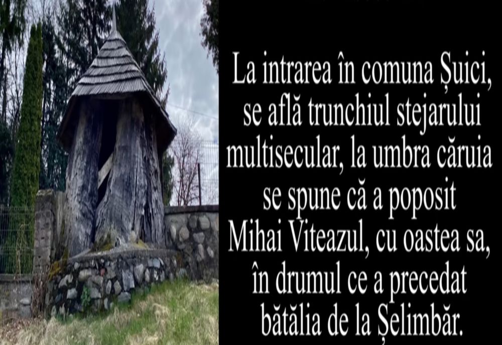 Stejarul dintre Vâlcea și Argeș la umbra căruia Mihai Viteazul a făcut un popas în drumul spre Transilvania prin Turnul Roşu, spun legendele