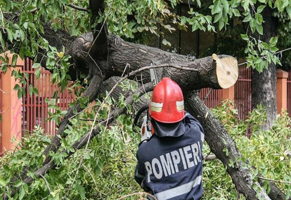 Avarii la reţeaua de energie electrică în judeţele Argeş, Dolj, Gorj, Mehedinţi, Olt, Teleorman şi Vâlcea