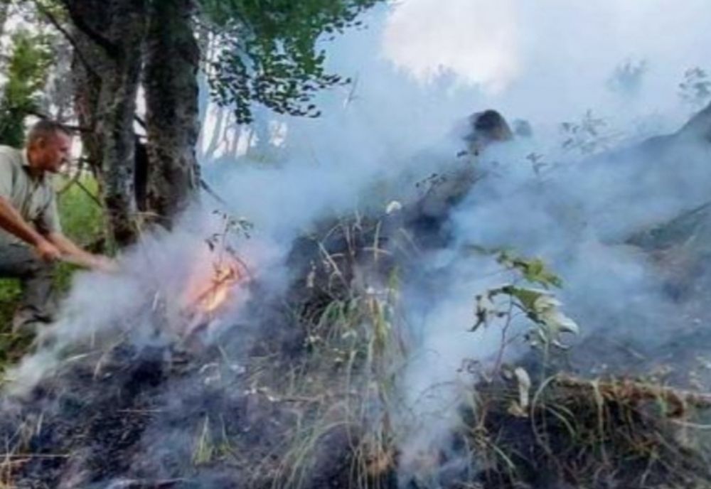 Incendiul din Munții Căpăţânii a fost localizat, nu stins. Focarele de sub copacii căzuți se reaprind