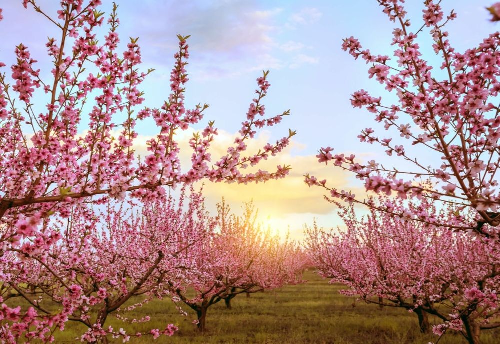 21 iunie, ziua solstiţiului de vară, cea mai lungă zi din an