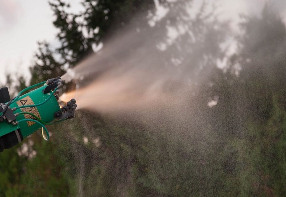 Începând din această seară se fac servicii de dezinsecție în Pitești