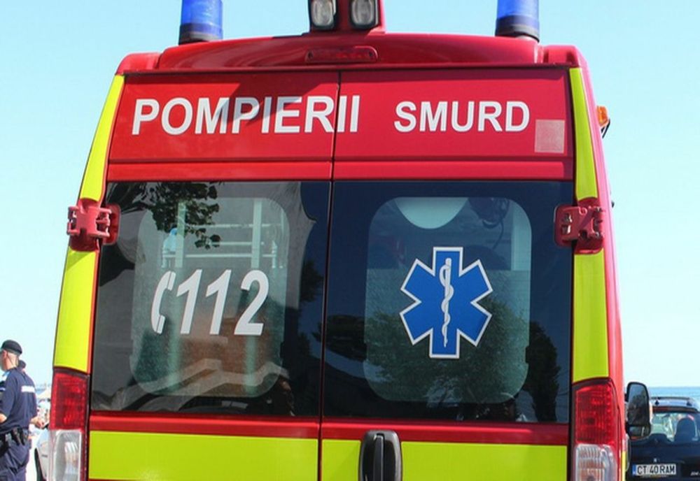 5 persoane au fost înțepate de viespi mari. Au fost preluați de ambulanță 