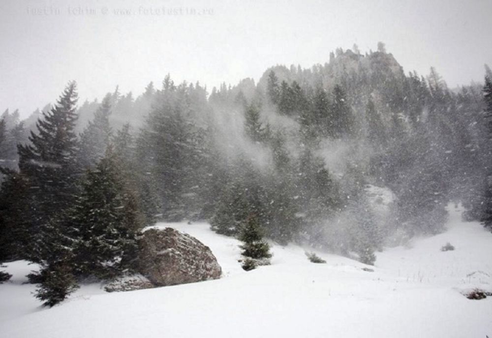 Avertizare de vreme severă. Sunt anunțate ninsori în mai multe județe