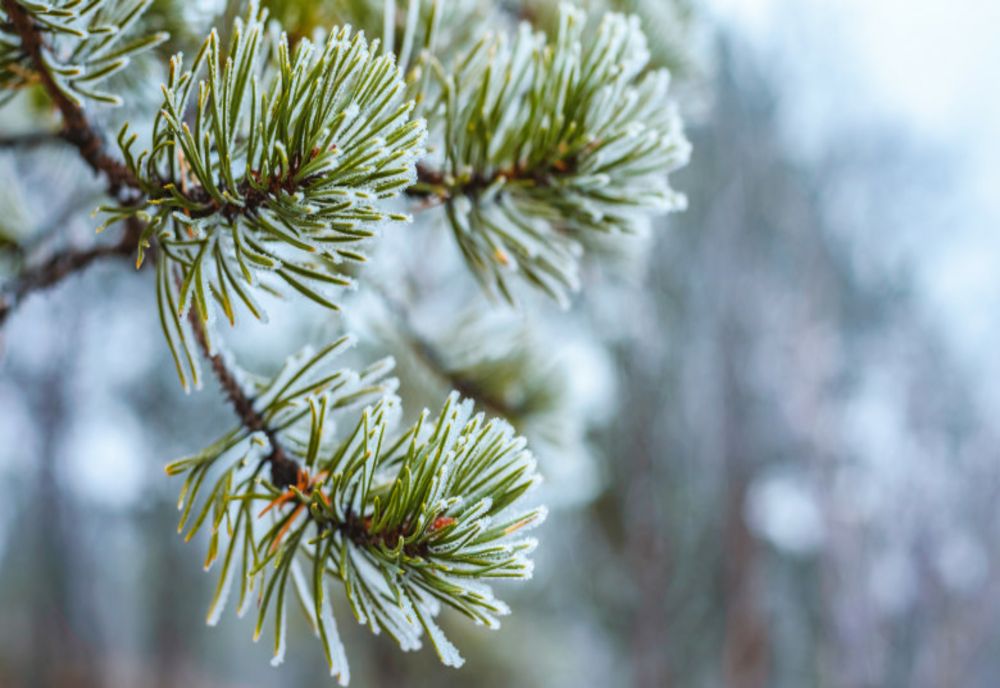 După zile geroase vremea se încălzește, începând de mâine