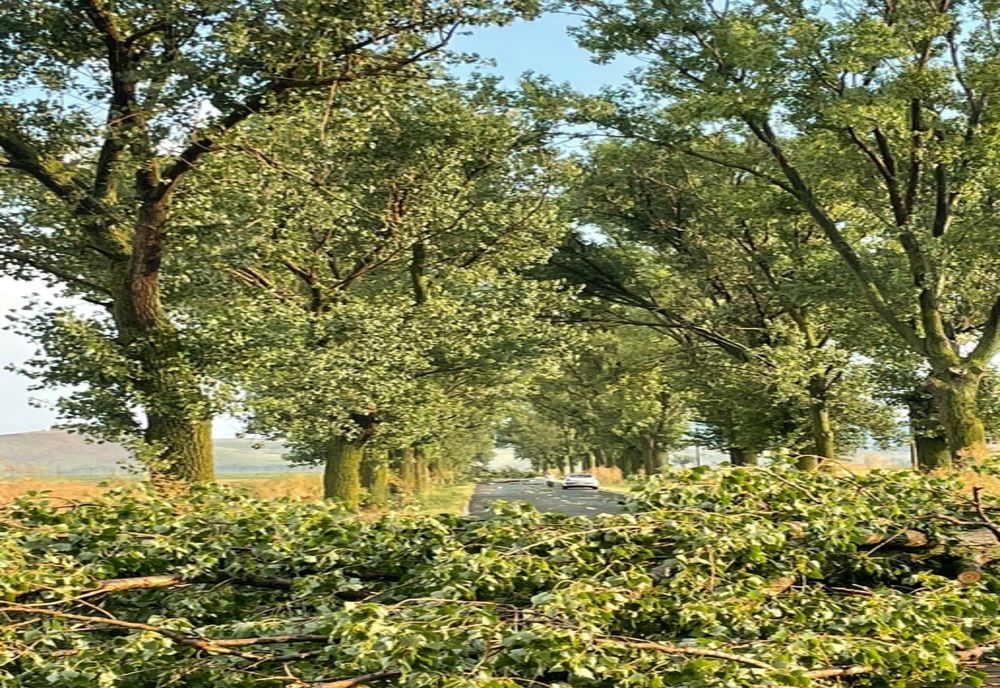 Restricții de circulație pe DN 7 Râmnicu Vâlcea- Sibiu