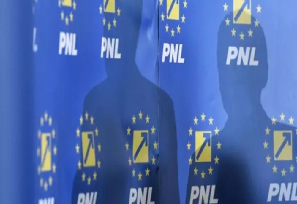 PNL ȘI-A ALES NOUL PREȘEDINTE INTERIMAR CU UNANIMITATE DE VOTURI. CINE ÎL ÎNLOCUIEȘTE PE ILIE BOLOJAN