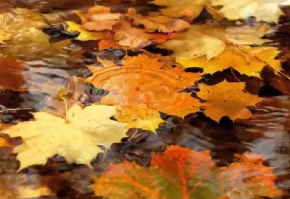 Vremea 6 decembrie. Temperaturi scăzute în toată țara de Sfântul Nicolae: ploi în sud și est, vânt puternic în Dobrogea și Muntenia