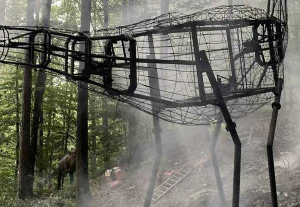INCENDIU LA DINO PARC DIN RÂŞNOV: UN DINOZAUR DE ZECE METRI A LUAT FOC