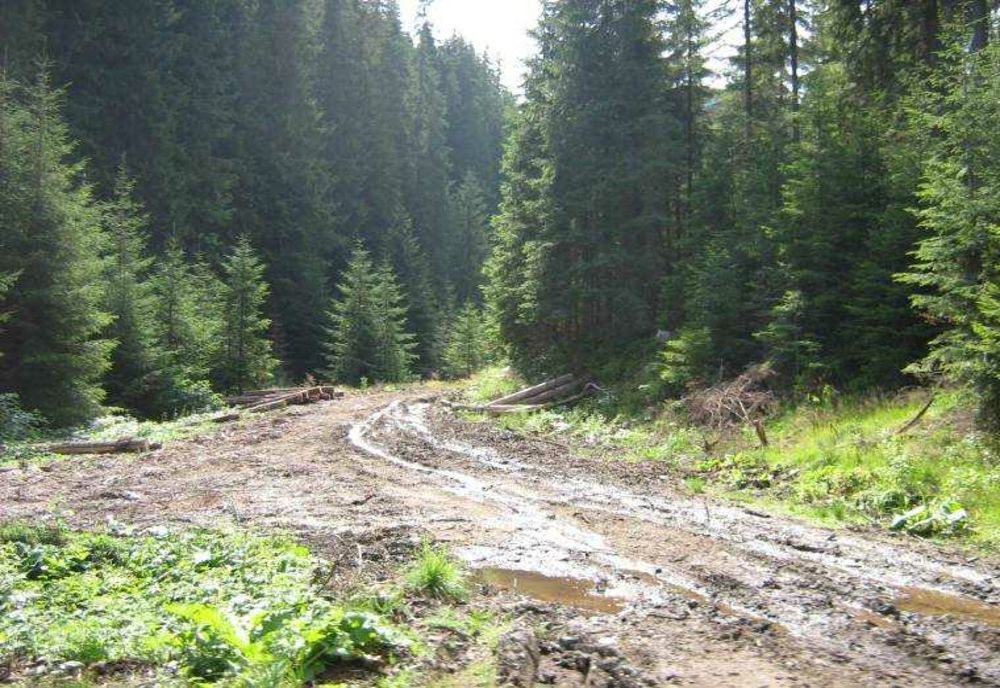 10 JUDEȚE ȘI CAPITALA AFECTATE DE VREMEA EXTREMĂ