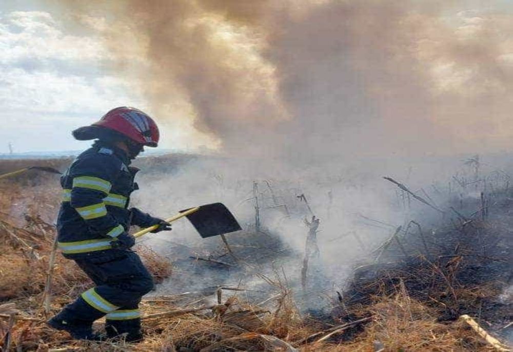 INCENDII DE VEGETAȚIE ÎN ARGEȘ: INTERVENȚII REPETATE ALE POMPIERILOR