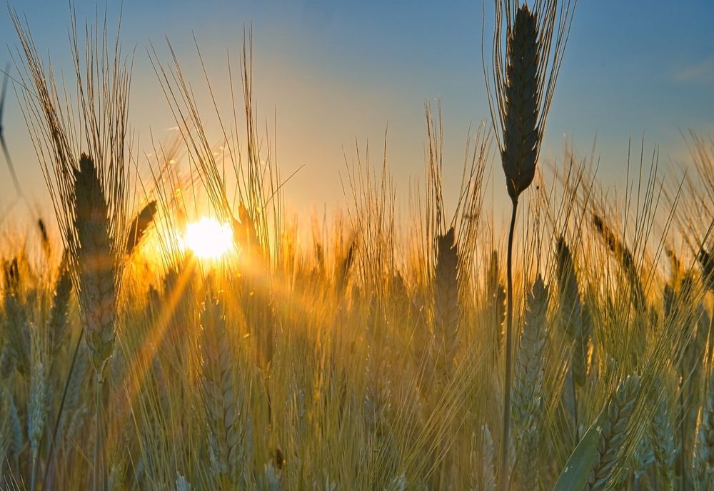 VREMEA 6 IUNIE. TEMPERATURI CANICULARE