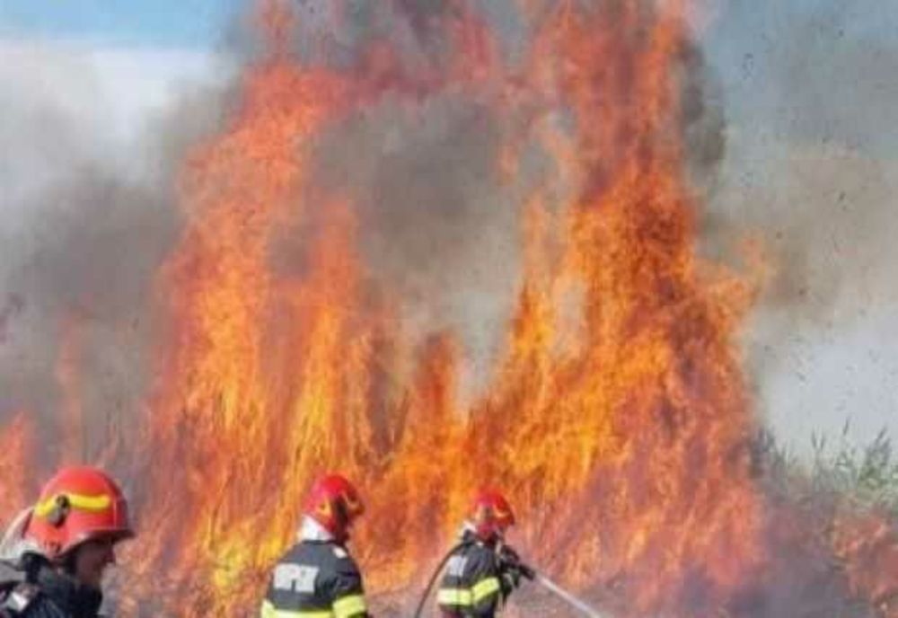 INCENDIU DE VEGETAȚIE PE AUTOSTRADA A1: FOCUL STINS DE POMPIERI ÎN JUDEȚELE GIURGIU ȘI ALBA