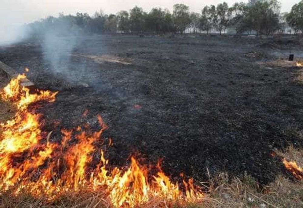 INCENDII ÎN ARGEȘ: Pompierii au intervenit la cinci incendii care au afectat o suprafață de 16.200 mp