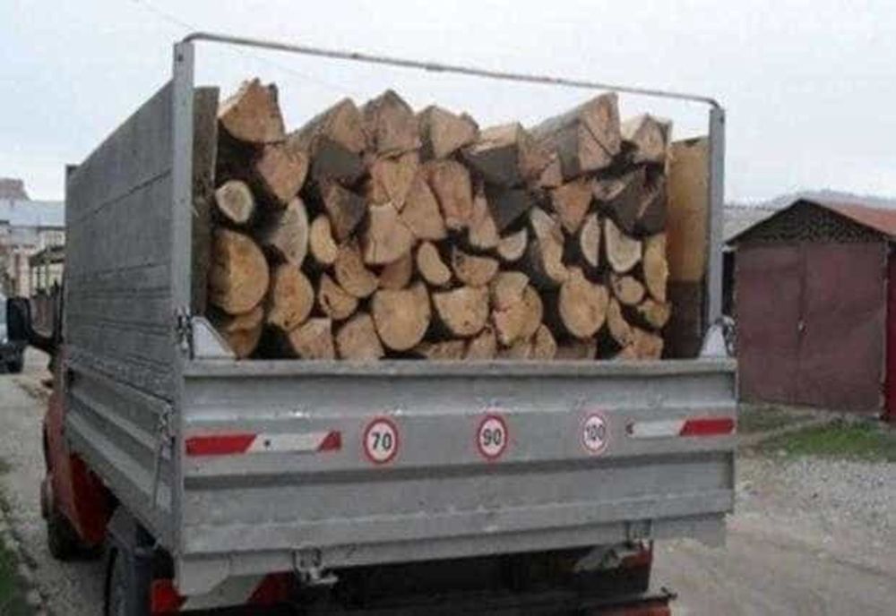 UN NOU DELICT SILVIC ÎN ARGEȘ
