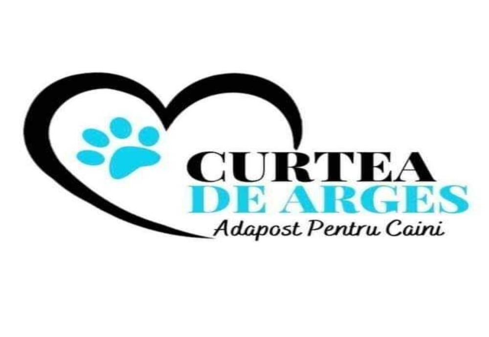 PRIMĂRIA CURTEA DE ARGEȘ ANUNȚĂ O NOUĂ CAMPANIE DE STERILIZARE GRATUITĂ A ANIMALELOR DE COMPANIE
