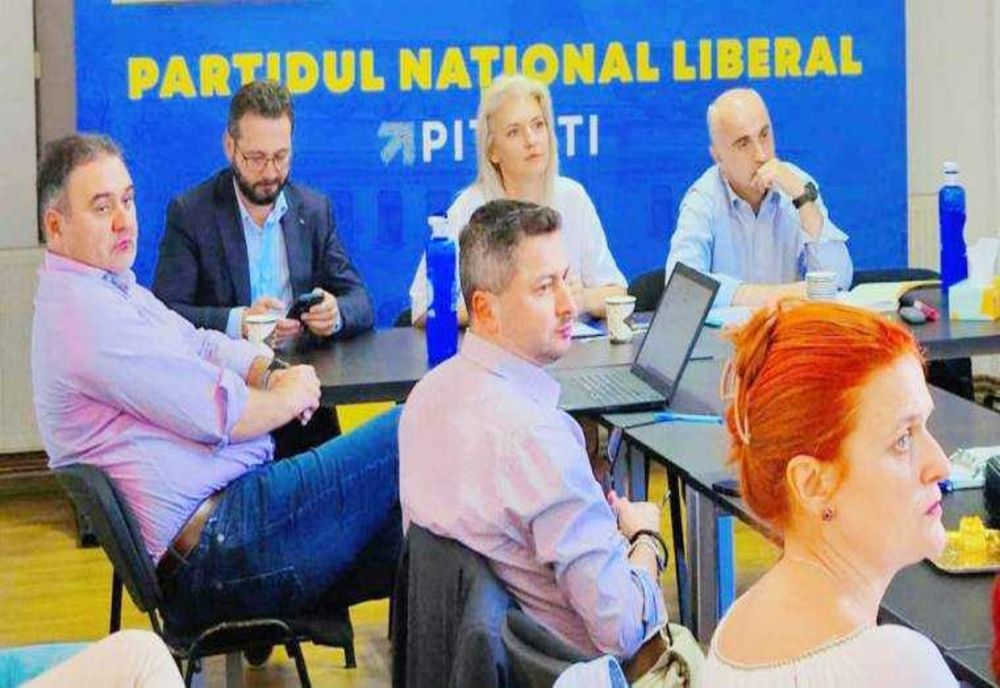 MINISTRA ALINA GORGHIU, PAS CU PAS PRIN ARGEȘ