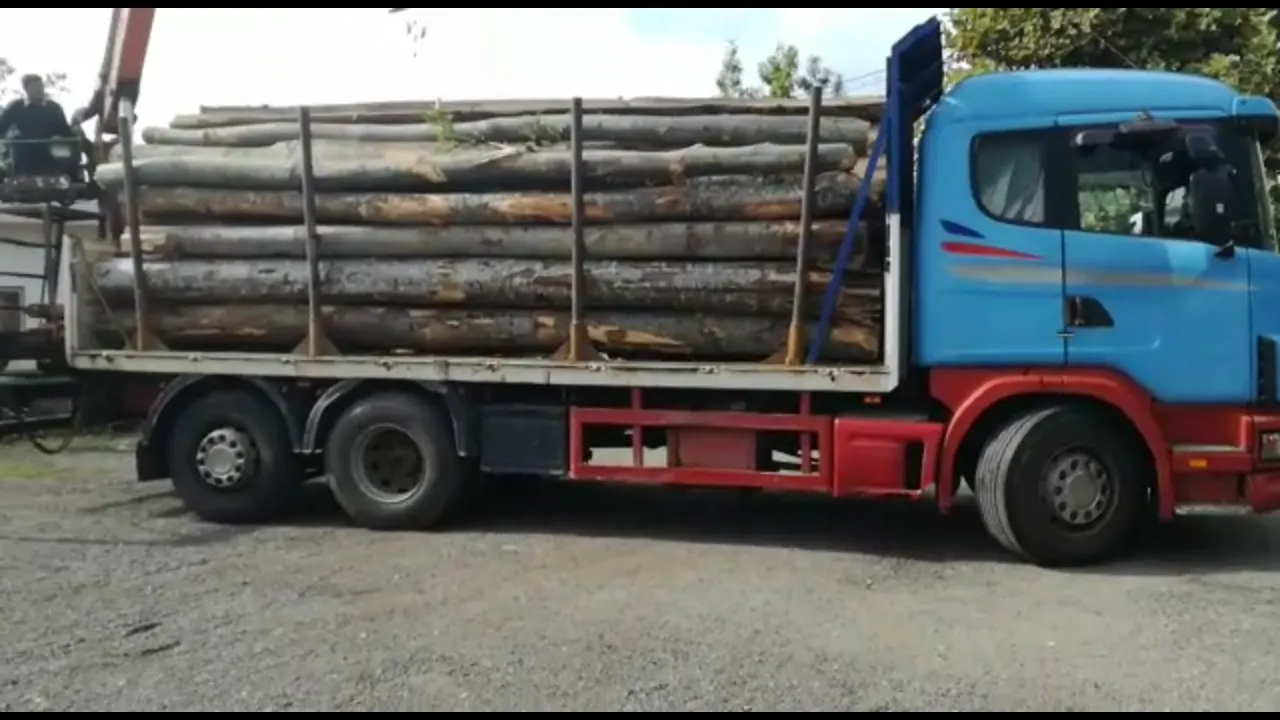 Camion cu lemne confiscat de politisti