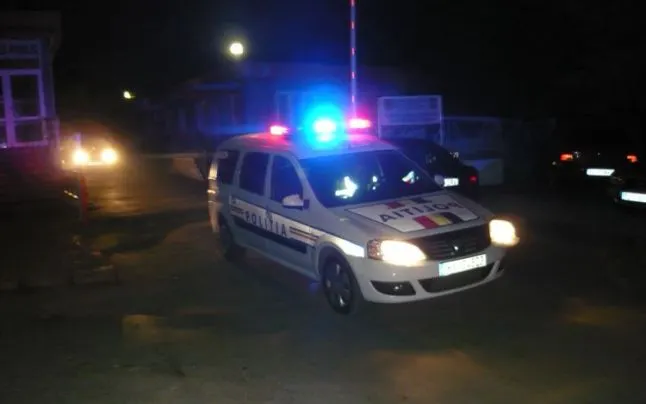 soferul si pietonul erau beti