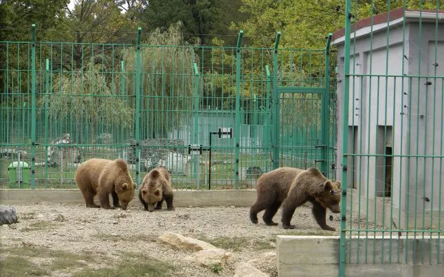 La gradina zoologica din Pitesti se va scumpi biletul de vizitare