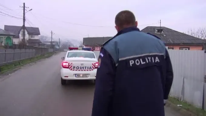 Lovit cu parul pentru o oaie