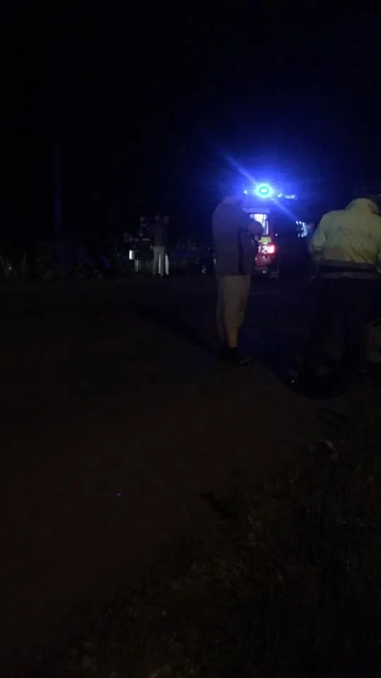 cal omorât pe șosea de o mașină 3
