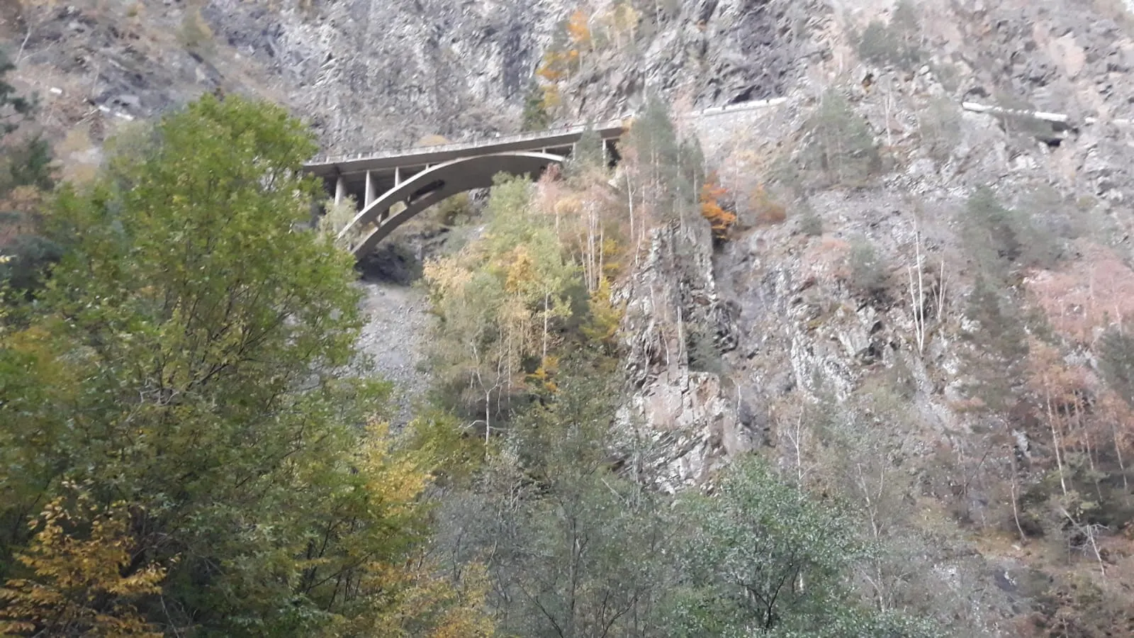 S-a sinucis pe Transfagarasan! 4