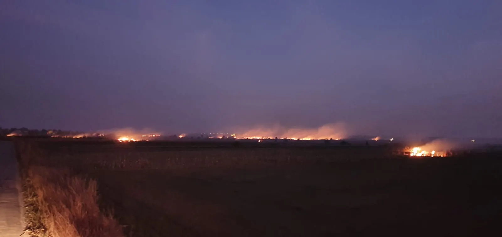 incendiu de vegetație uscată Leordeni
