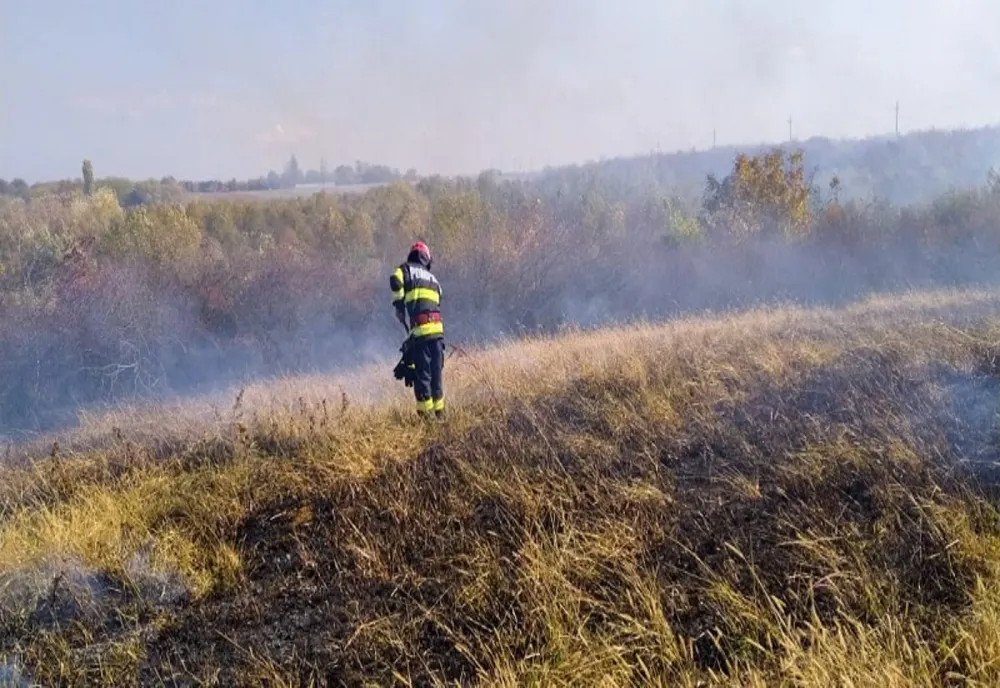 Incendiu noaptea trecută într- o pădure din Argeș.În pădure a fost găsit și un autoturism distrus