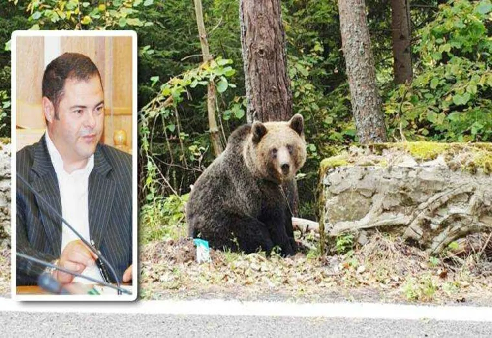 SCANDALUL URȘILOR DIN ZONA AREFU