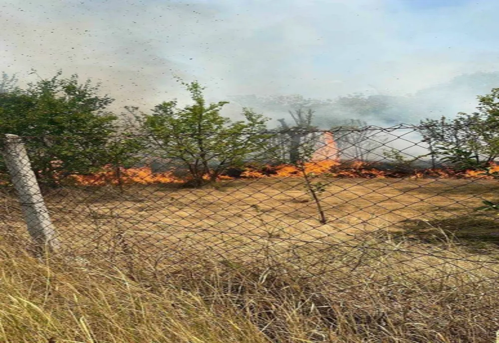INCENDIU ÎN GOSPODĂRIE DIN COMUNA SUSENI, ARGEȘ: POMPIERII INTERVIN ÎN URGENȚĂ