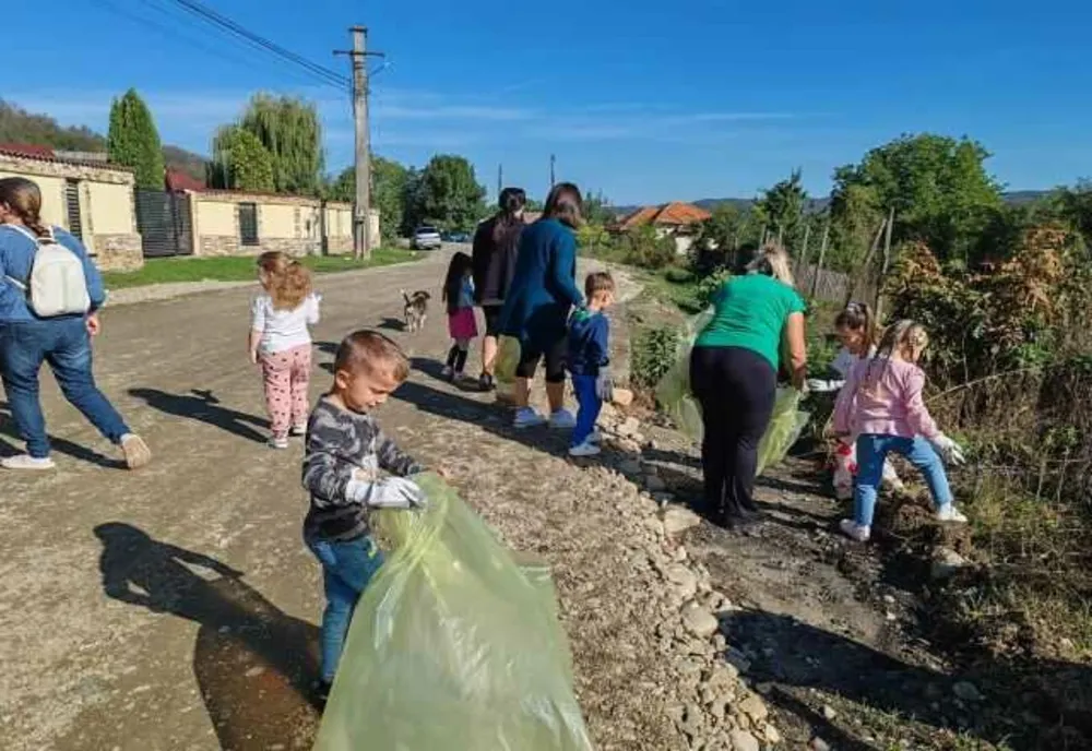 EXEMPLU DE TITLU RECRIS