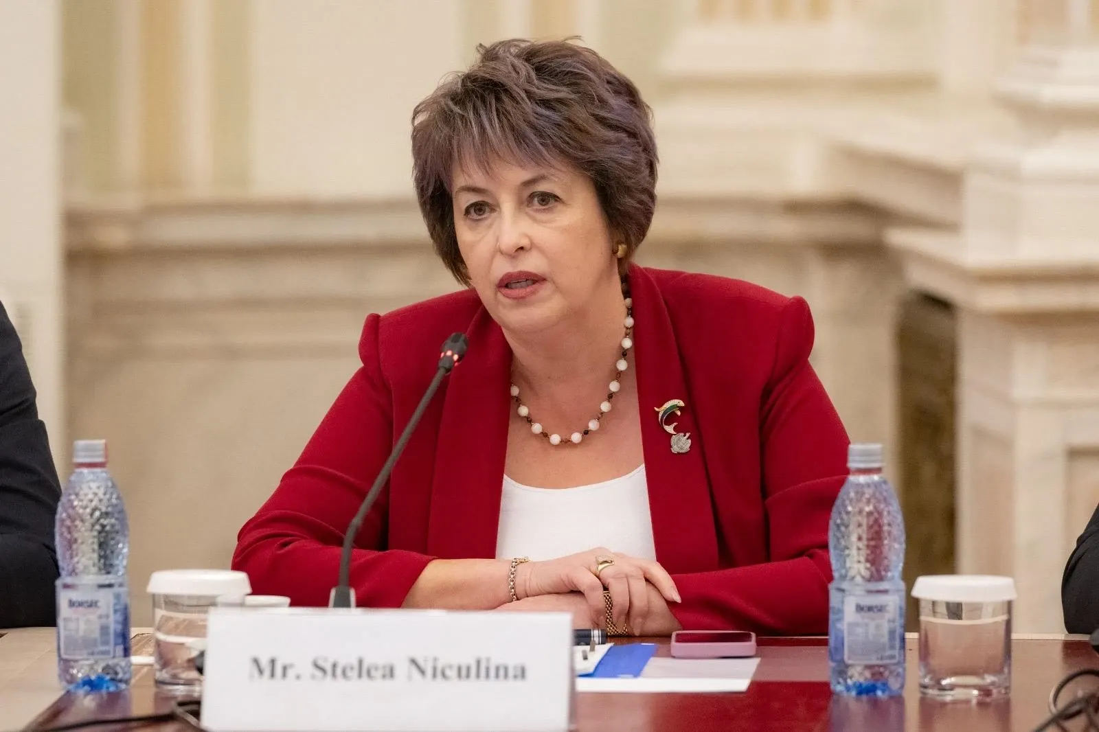 Niculina Stelea (AUR)