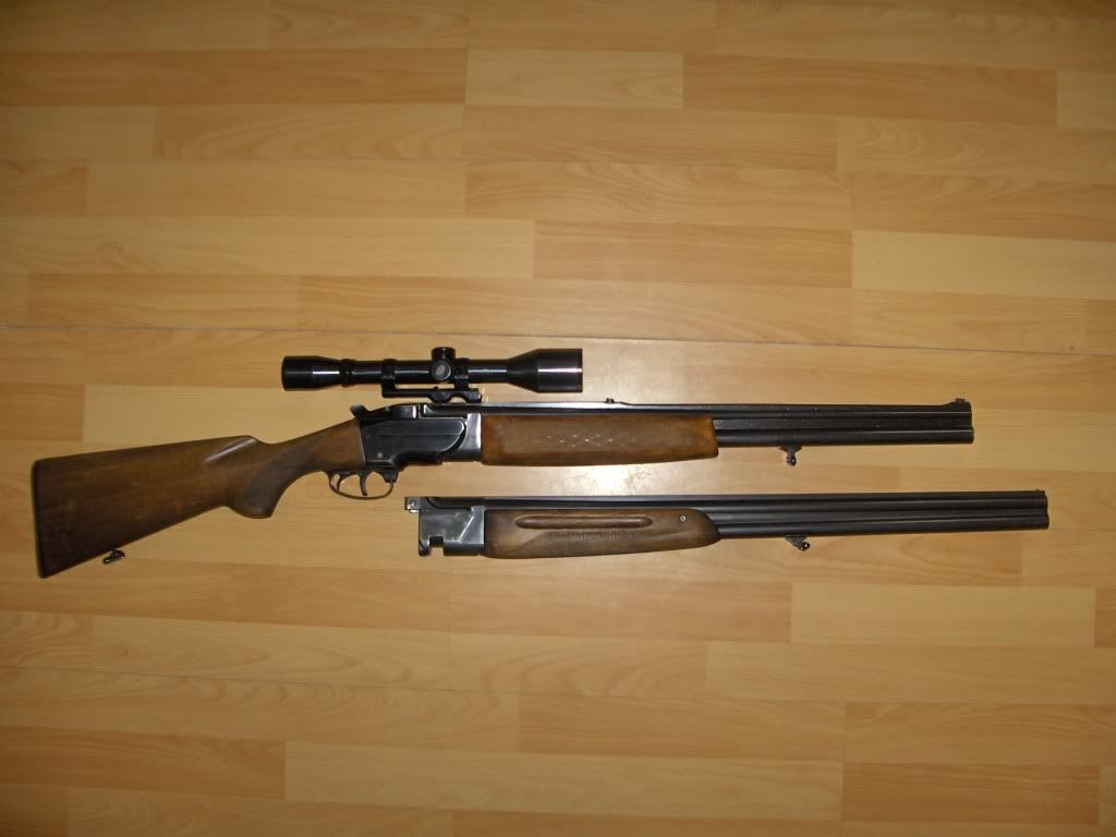 Deţinătoriii de arme pot obţine avize si de la Curtea de Argeş şi Câmpulug