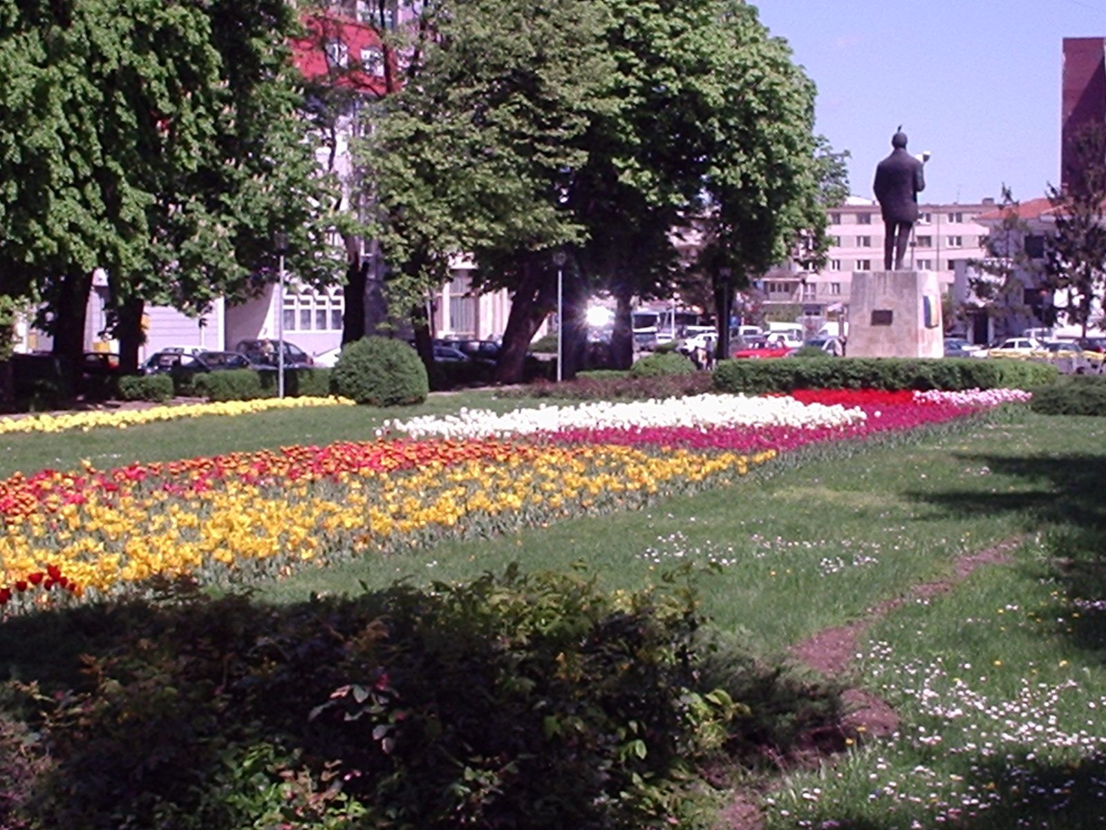 OLYMPUS DIGITAL CAMERA