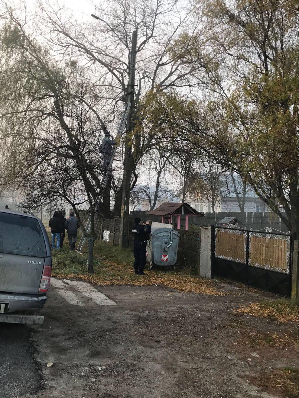 Tigani bransați ilegal la energie electrică