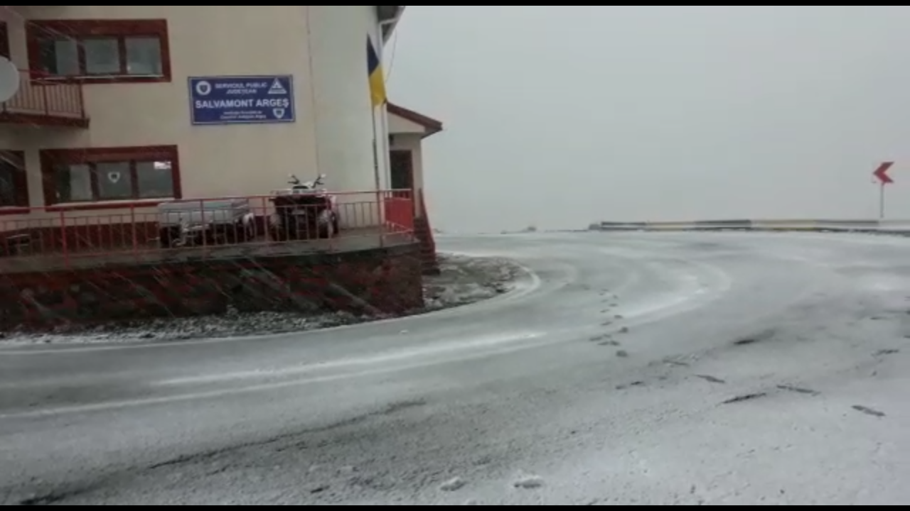 Ninge pe Transfagarasan. jpg